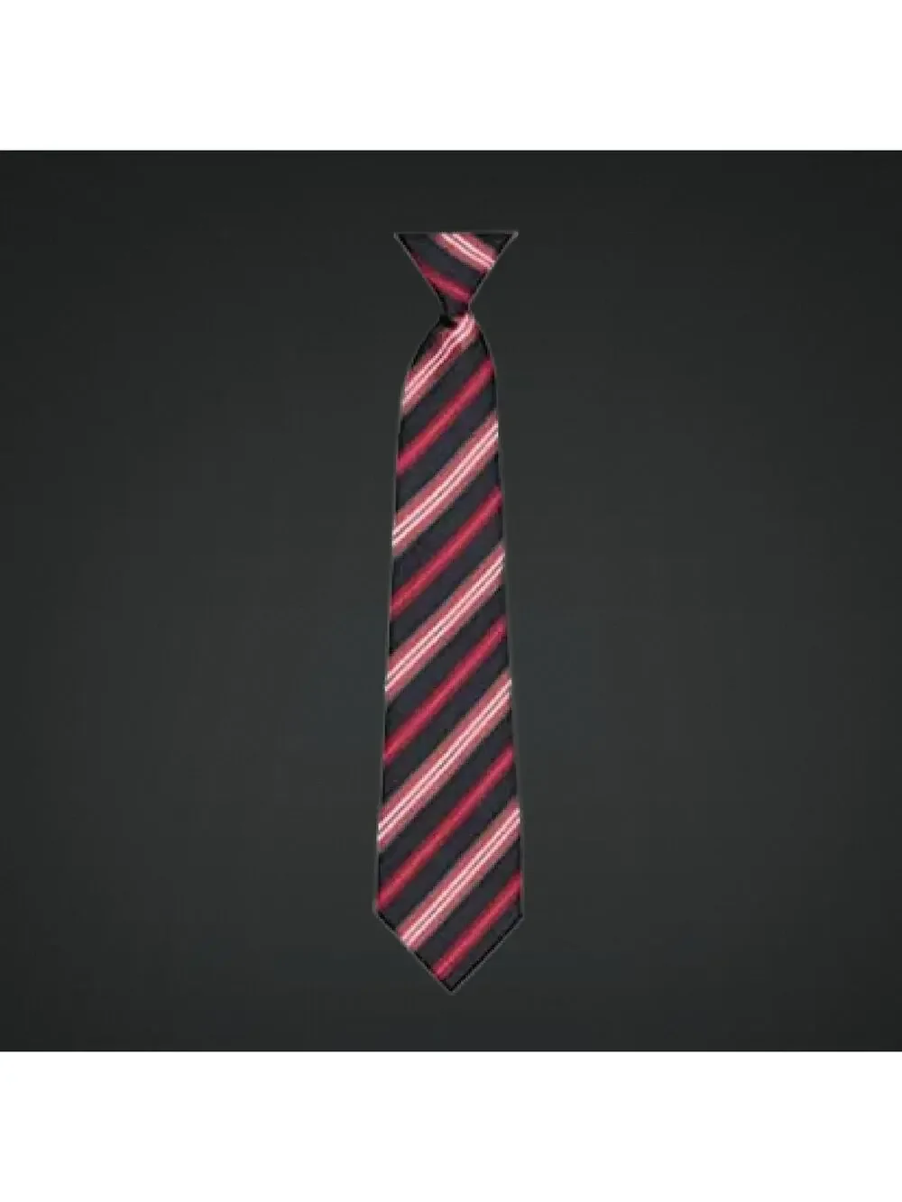 Boys 8/10 Zippered Pre-tied Neck Tie